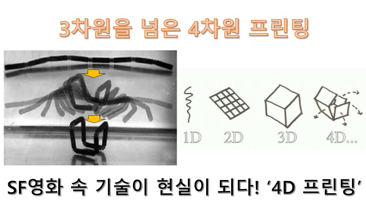 SF영화 속 기술이 현실이 되다! ‘4D 프린팅’