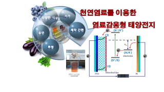 천연염료를 이용한 연료감응형 태양전지