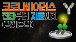 코로나바이러스 진단부터 치료까지 (항체공학)