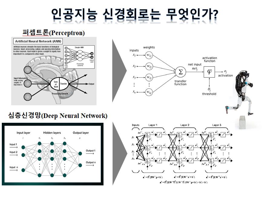 AI 신경회로 알고리즘은 무엇인가?