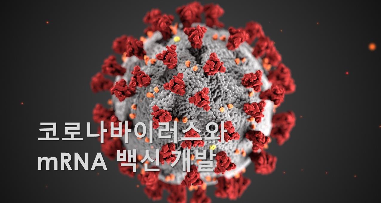 코로나바이러스와 mRNA 백신 개발