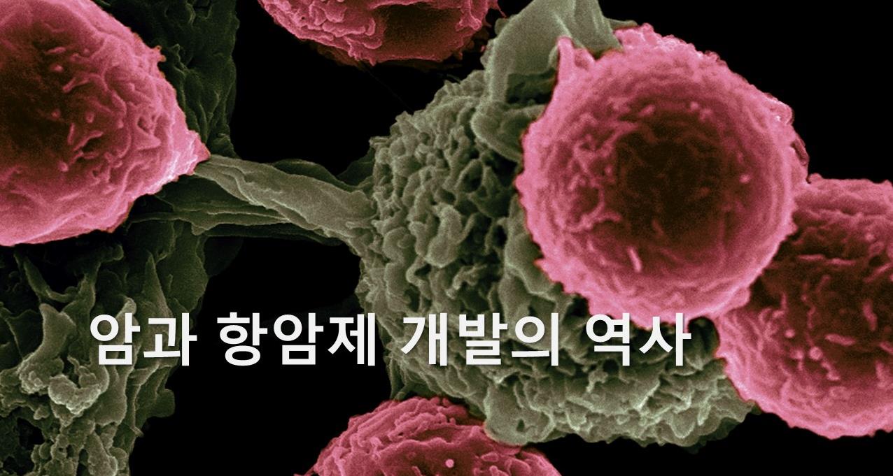 암과 항암제 개발의 역사