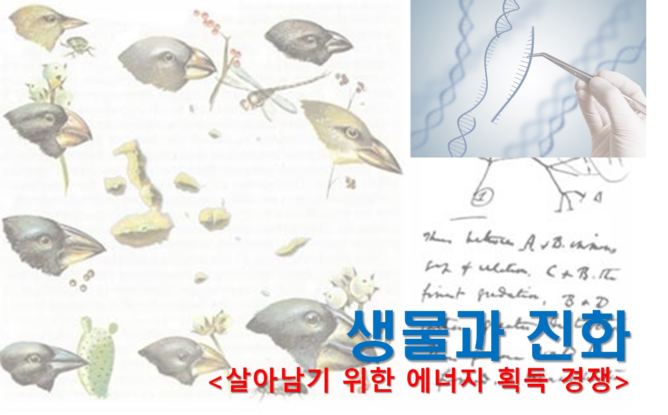생물과 진화, 그리고 돌연변이